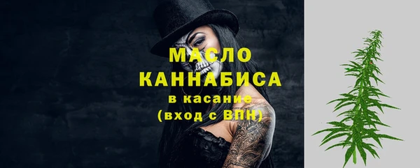 индика Гусев