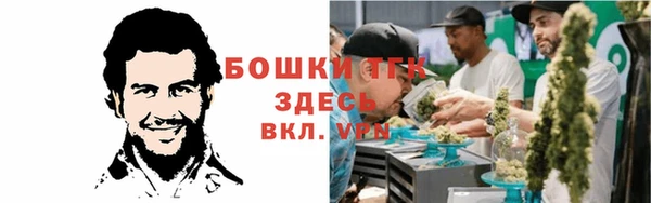 мет Протвино