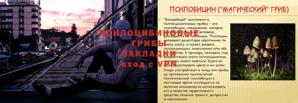 spice Алзамай