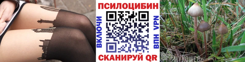Галлюциногенные грибы мухоморы  наркотики  Павлово 