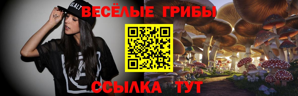 Павлово  где можно купить наркотик  Вход с VPN  Псилоцибиновые грибы Psilocybe  Галлюциногенные грибы мицелий 
